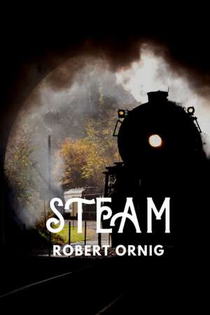 Steam de Robert Ornig