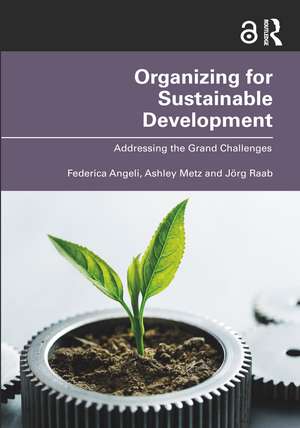 Organizing for Sustainable Development: Addressing the Grand Challenges de Federica Angeli