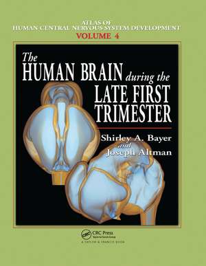 The Human Brain During the Late First Trimester de Shirley A. Bayer