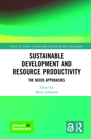 Sustainable Development and Resource Productivity: The Nexus Approaches de Harry Lehmann