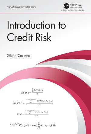 Introduction to Credit Risk de Giulio Carlone