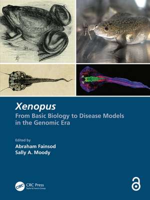 Xenopus: From Basic Biology to Disease Models in the Genomic Era de Abraham Fainsod