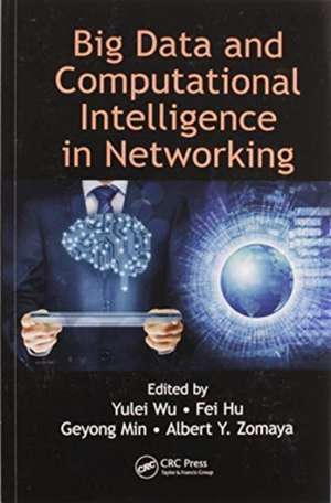 Big Data and Computational Intelligence in Networking de Yulei Wu