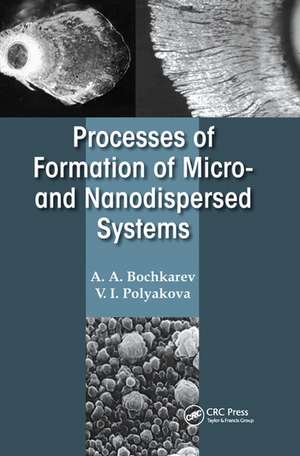 Processes of Formation of Micro -and Nanodispersed Systems de A. A. Bochkarev