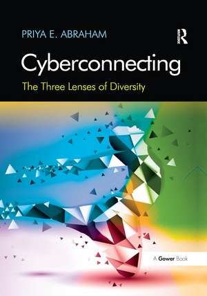 Cyberconnecting: The Three Lenses of Diversity de Priya E. Abraham