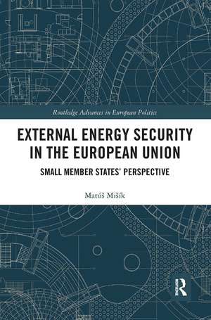 External Energy Security in the European Union: Small Member States' Perspective de Matúš Mišík