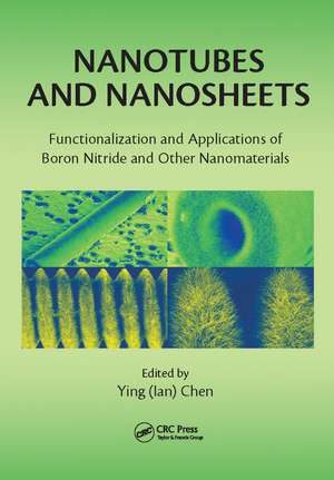 Nanotubes and Nanosheets: Functionalization and Applications of Boron Nitride and Other Nanomaterials de Ying (Ian) Chen