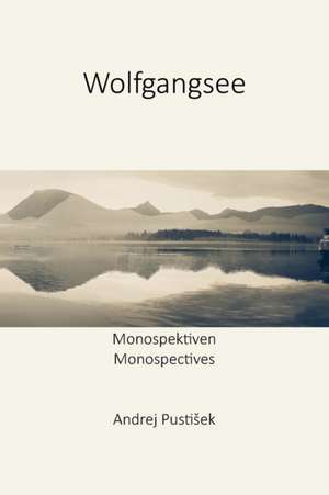 Wolfgangsee de Andrej Pustisek