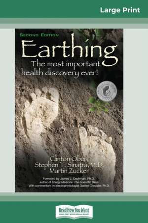 Earthing de Clinton Ober