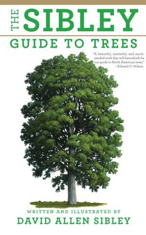 The Sibley Guide to Trees de David Allen Sibley