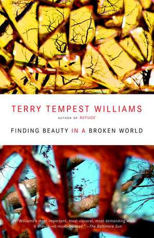 Finding Beauty in a Broken World de Terry Tempest Williams