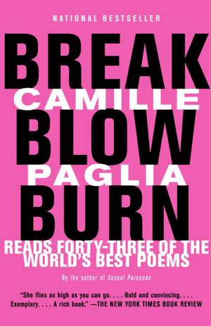 Break, Blow, Burn de Camille Paglia