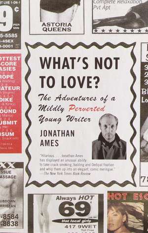 What's Not to Love?: The Adventures of a Mildly Perverted Young Writer de Jonathan Ames