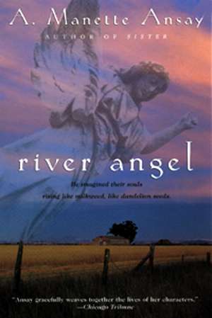 River Angel: A Novel de A. Manette Ansay