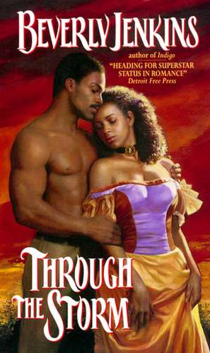 Through the Storm de Beverly Jenkins