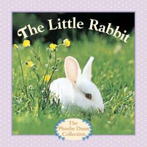 The Little Rabbit de Judy Dunn