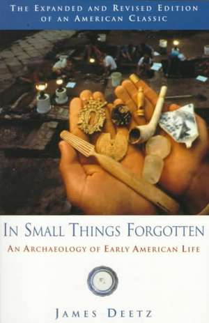 In Small Things Forgotten: An Archaeology of Early American Life de James Deetz