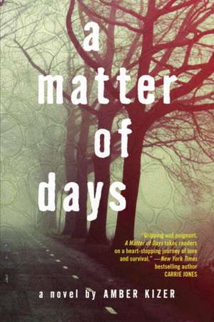 A Matter of Days de Amber Kizer