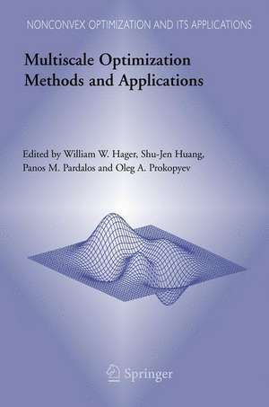 Multiscale Optimization Methods and Applications de William W. Hager