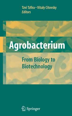 Agrobacterium: From Biology to Biotechnology de Tzvi Tzfira