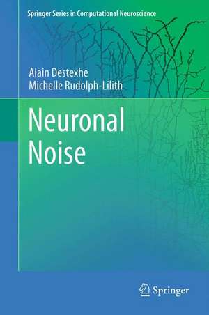 Neuronal Noise de Alain Destexhe