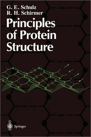 Principles of Protein Structure de G. E. Schulz