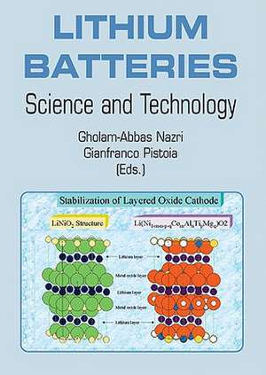 Lithium Batteries: Science and Technology de Gholam-Abbas Nazri