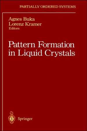 Pattern Formation in Liquid Crystals de Agnes Buka