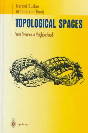 Topological Spaces: From Distance to Neighborhood de Gerard Buskes