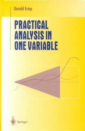 Practical Analysis in One Variable de Donald Estep