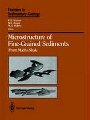 Microstructure of Fine-Grained Sediments: From Mud to Shale de W.A. Chiou