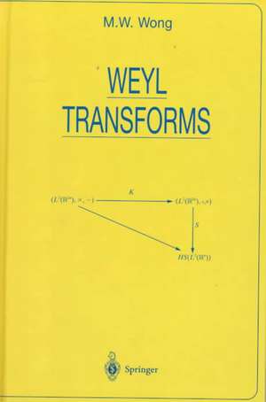 Weyl Transforms de M.W. Wong