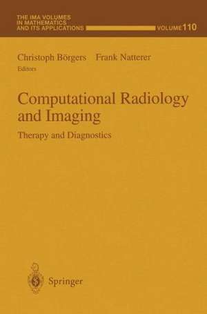 Computational Radiology and Imaging: Therapy and Diagnostics de Christoph Borgers