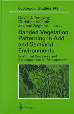 Banded Vegetation Patterning in Arid and Semiarid Environments: Ecological Processes and Consequences for Management de David J. Tongway