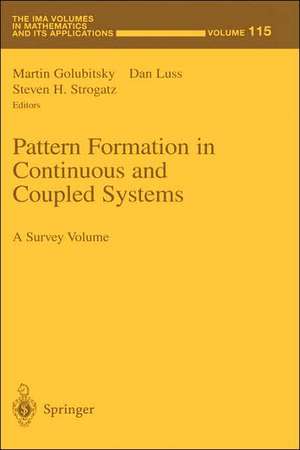 Pattern Formation in Continuous and Coupled Systems: A Survey Volume de Martin Golubitsky