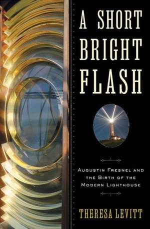 A Short Bright Flash de Theresa Levitt