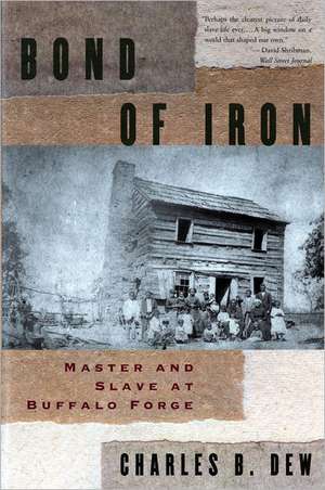 Bond of Iron – Master & Slave at Buffalo Forge (Paper) de Charles B Dew