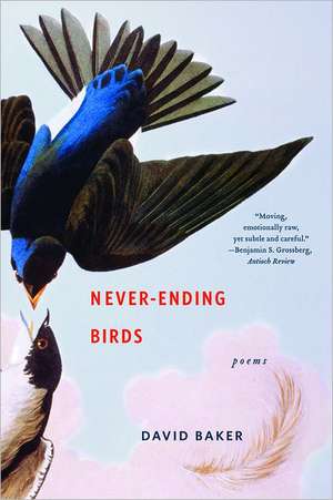 Never–Ending Birds – Poems de David Baker