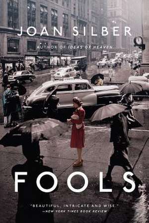 Fools – Stories de Joan Silber