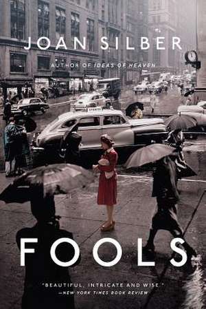 Fools de Joan Silber