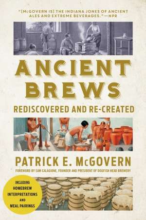 Ancient Brews – Rediscovered and Re–created de Patrick E. McGovern