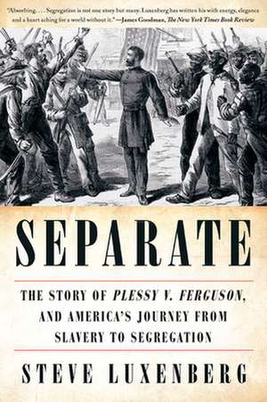 Separate – The Story of Plessy v. Ferguson, and America`s Journey from Slavery to Segregation de Steve Luxenberg