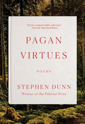 Pagan Virtues – Poems de Stephen Dunn