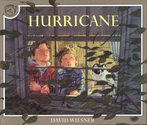 Hurricane de David Wiesner