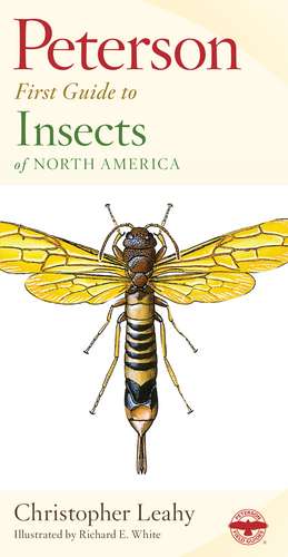 Peterson First Guide To Insects Of North America de Richard E. White