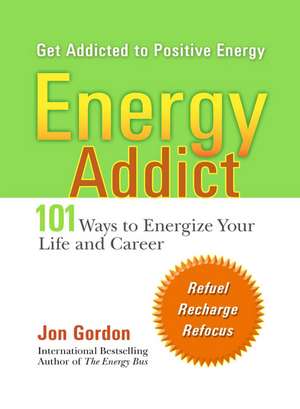 Energy Addict: 101 Physical, Mental, and Spiritual Ways to Energize Your Life de Jon Gordon