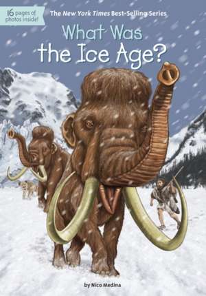 What Was the Ice Age? de Nico Medina