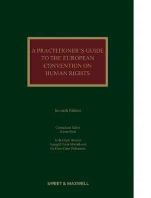 Practitioner's Guide to the European Convention on Human Rights de Aida Grgic Boulais