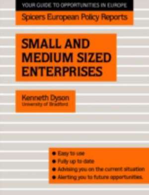 Small and Medium Sized Enterprises de Kenneth Dyson