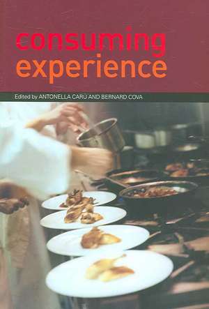 Consuming Experience de Antonella Caru